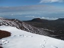 Action Alert: Help Us to Oppose Office of Mauna Kea Management Proposed Rules