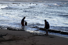 Gathering, Awalua, Läna‘i. Photo by Robin Kaye