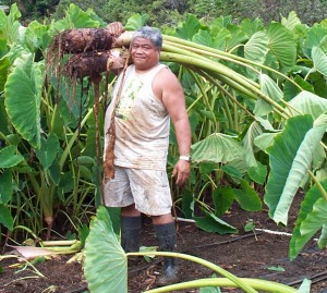 jerry-w-kalo-crop